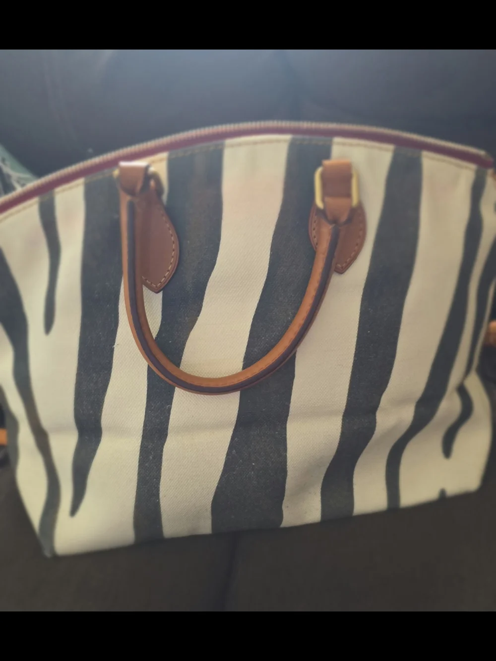 Dooney & Bourke Black and White Zebra-Print Satchel with Brown Leather Trim